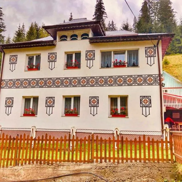 Casa Craciun，位于Valea Putnei的酒店