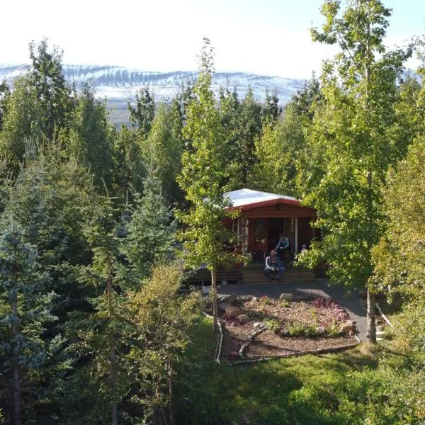 Bakkakot 1 - Cozy Cabins in the Woods，位于Grenivík的酒店