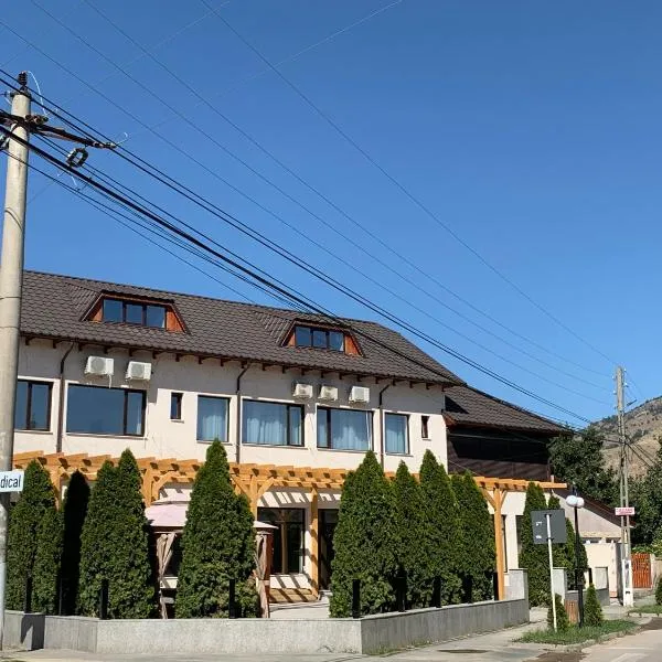 NIKO’S HOUSE，位于Măcin的酒店