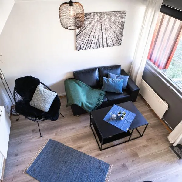 Maristova apartment 110，位于Årdalstangen的酒店