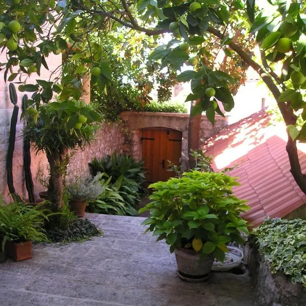 Villa Magnolia，位于察夫塔特的酒店