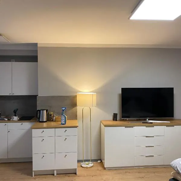 City Studio-Apartment am Hauptbahnhof N6，位于诺因基兴的酒店