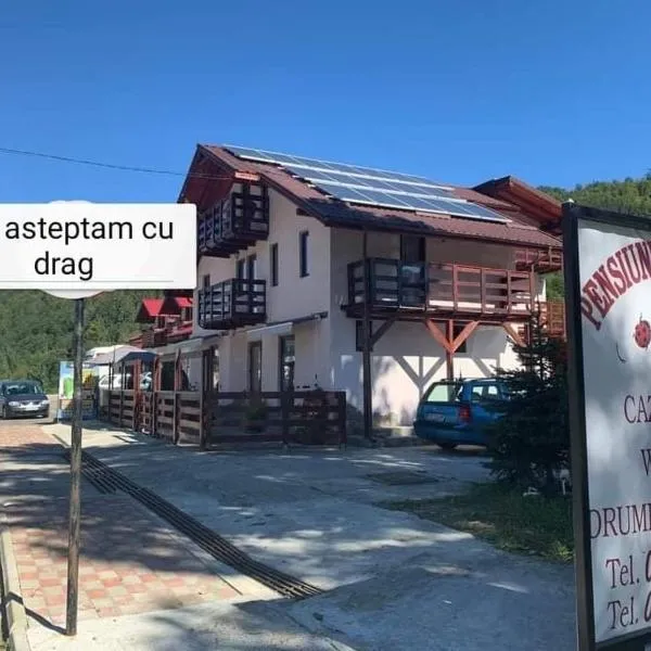 La Măriuca，位于比卡兹的酒店