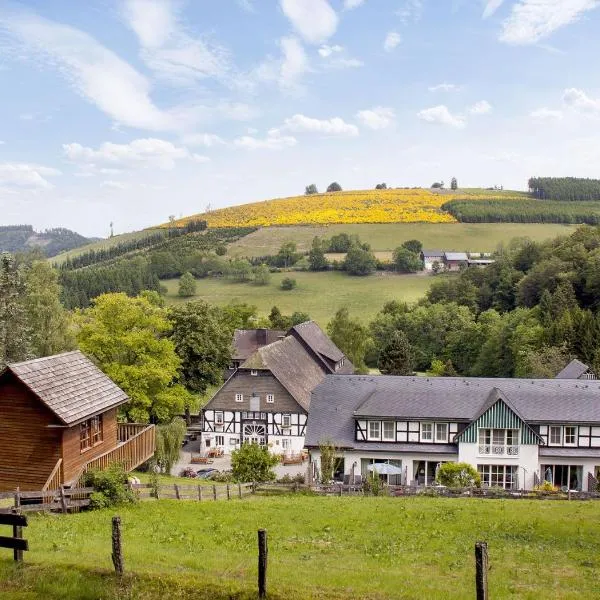 古特坲而沃德酒店，位于施马伦贝格的酒店
