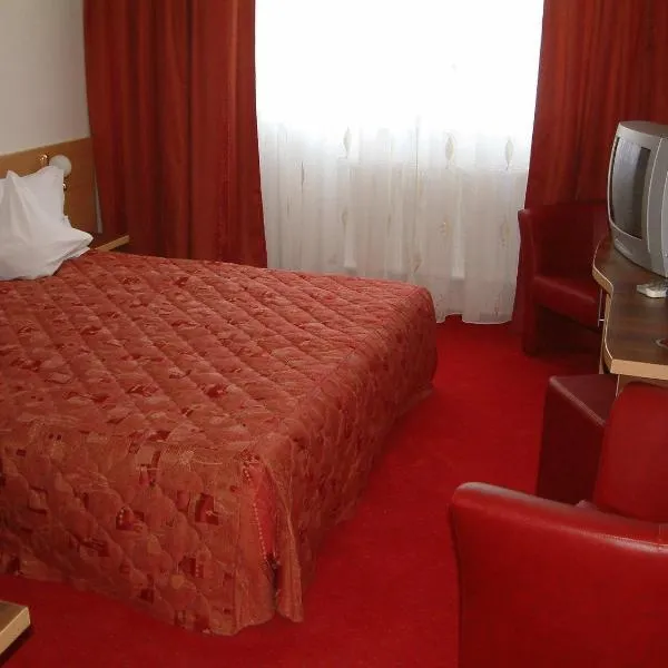 Hotel Sud，位于Braniştea的酒店