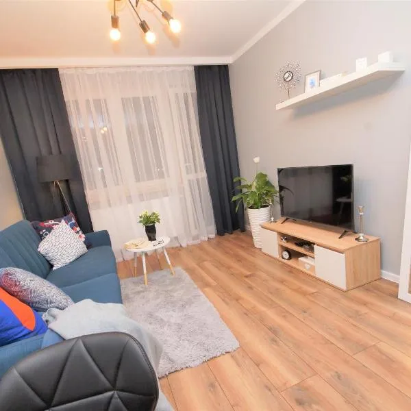 Loft Apartament 1，位于乔左维尔考普尔斯基的酒店