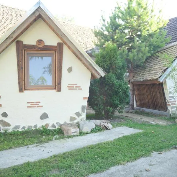 Kuća za odmor ''S''，位于Bačko Novo Selo的酒店