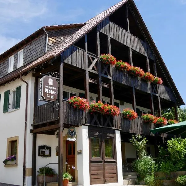 Landgasthof Adler，位于Kupferzell的酒店
