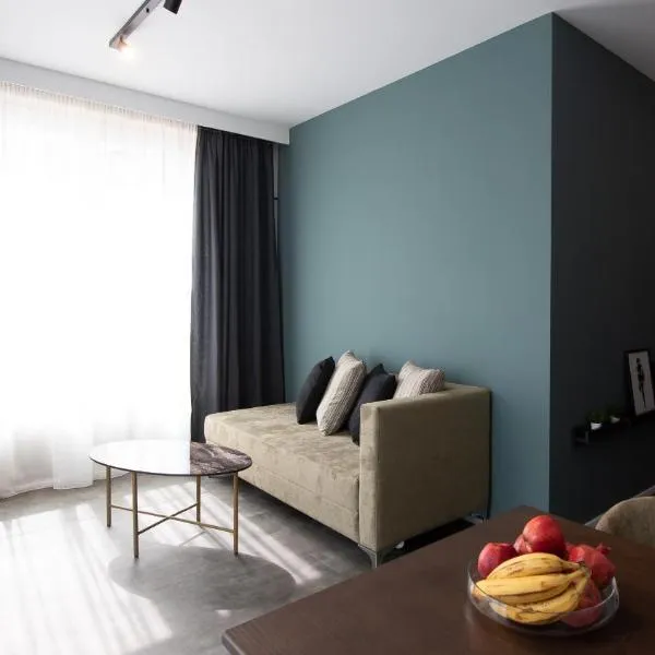 Metropol Apartments & Suites，位于蒂宾根的酒店