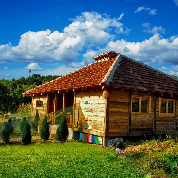 API CENTAR BRDJANI，位于Gornja Trepča的酒店