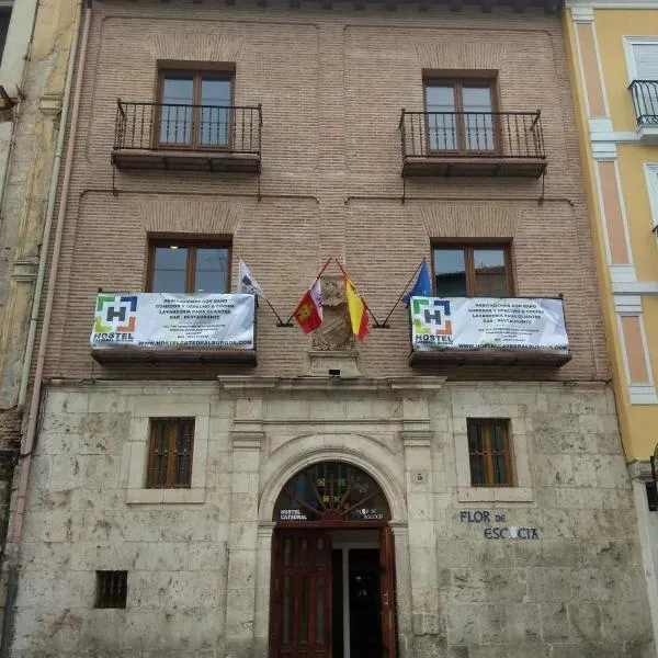 Hostel Catedral Burgos，位于阿塔普埃尔卡的酒店