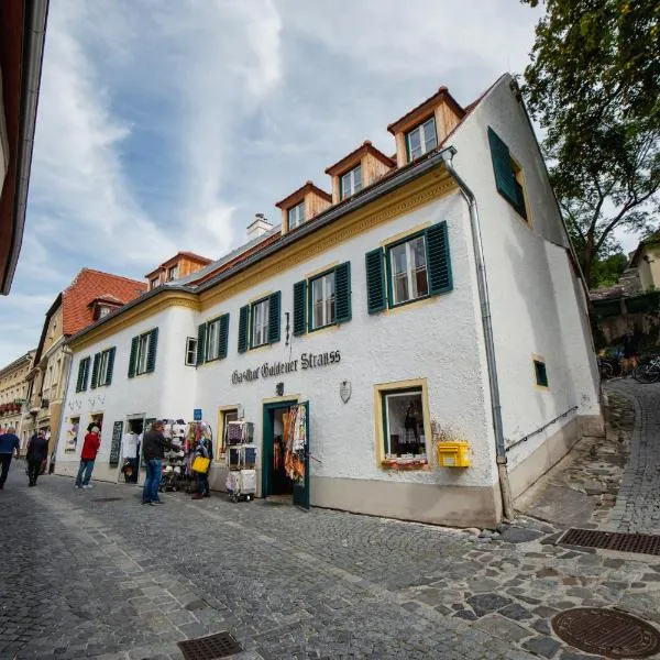 Smile Apartments zum Goldenen Strauß，位于杜伦斯坦的酒店
