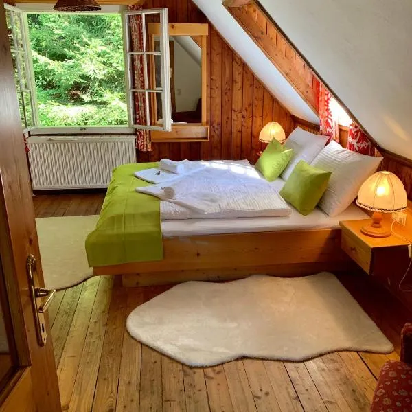 Das AlplResort "ALMfrequenz"，位于克里格拉赫的酒店