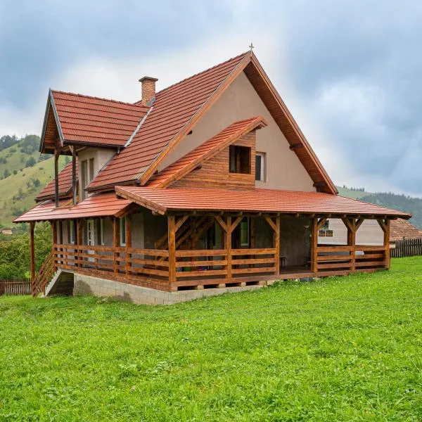 Anna Guesthouse，位于Valea Boroş的酒店
