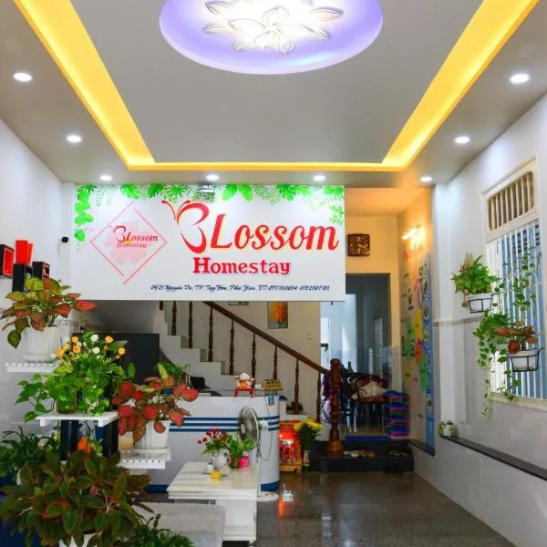 Blossom Homestay，位于绥和市的酒店