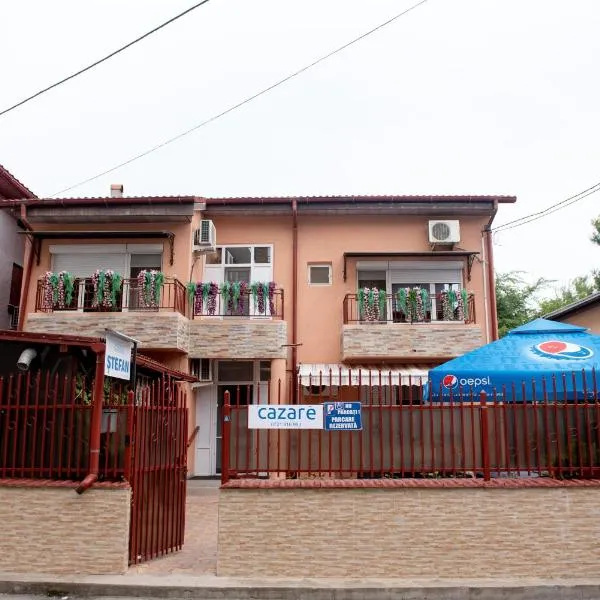 Casa Ștefan，位于南埃福列的酒店