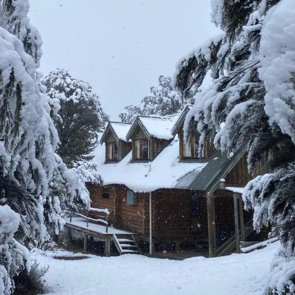 Charlies Cabin - Mt Lyford，位于Mendip Hills的酒店