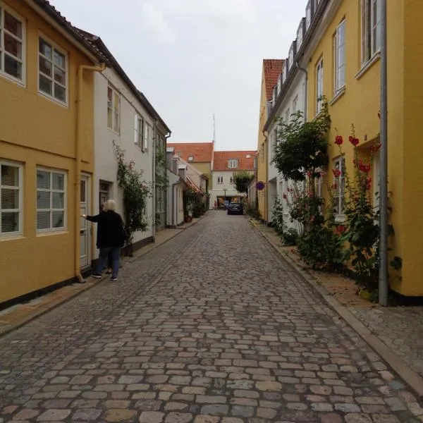 Dejligt lille byhus，位于Millinge的酒店