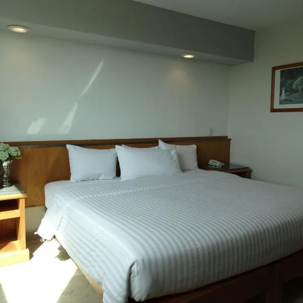 Hotel Amberes，位于克雷塔罗的酒店