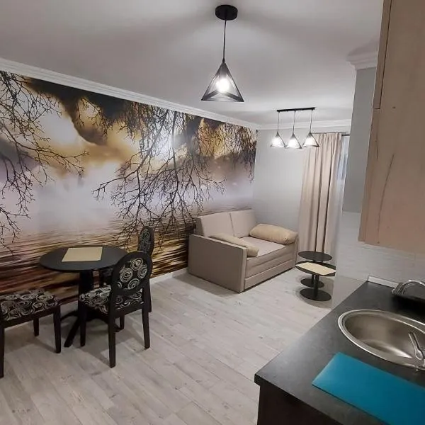 APARTMAN studio DADO，位于乌日策的酒店