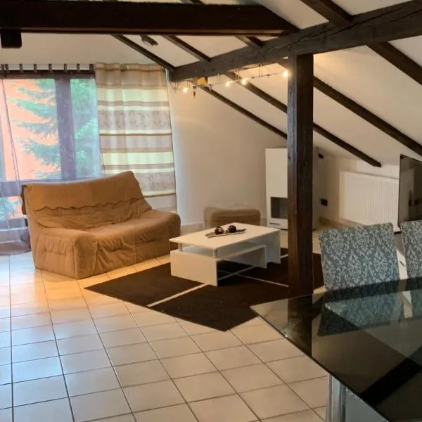 Albi Apartment，位于Küssaberg的酒店