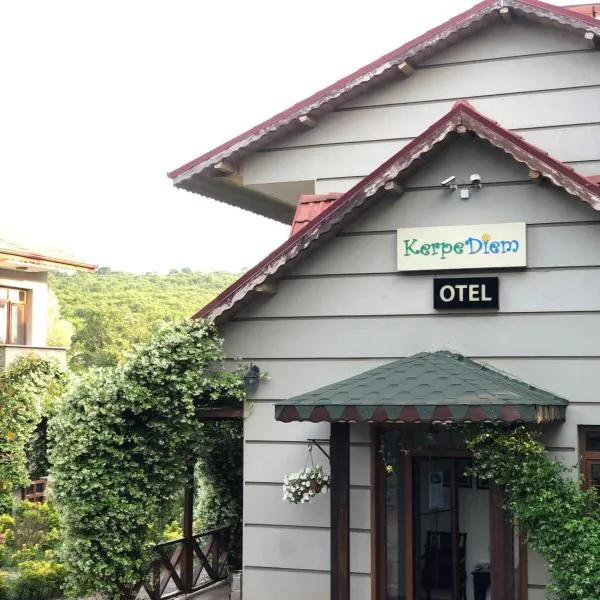 Kerpe Diem Otel，位于Kerpe的酒店