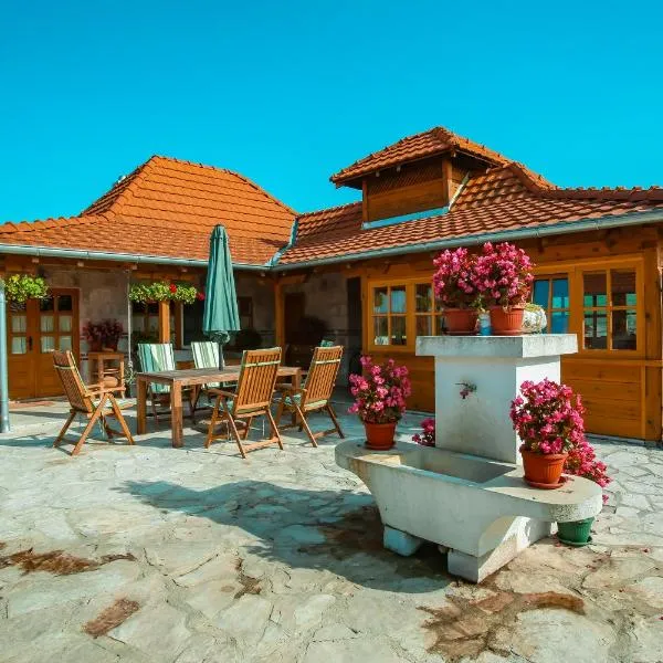 Seosko turisticko domacinstvo Radivojevic，位于Gornja Trepča的酒店