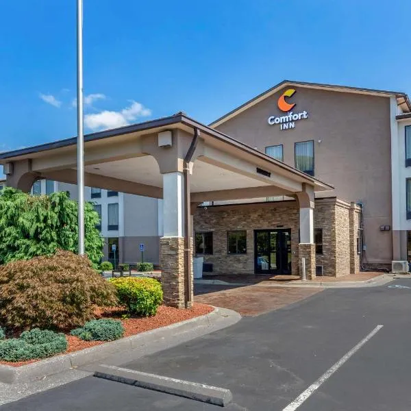Comfort Inn Roanoke Civic Center，位于Roanoke Regional Airport-Woodrum Field的酒店