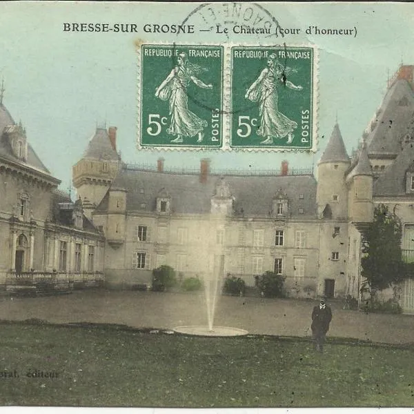 德格雷斯河畔布雷斯城堡旅馆，位于Chissey-lès-Mâcon的酒店