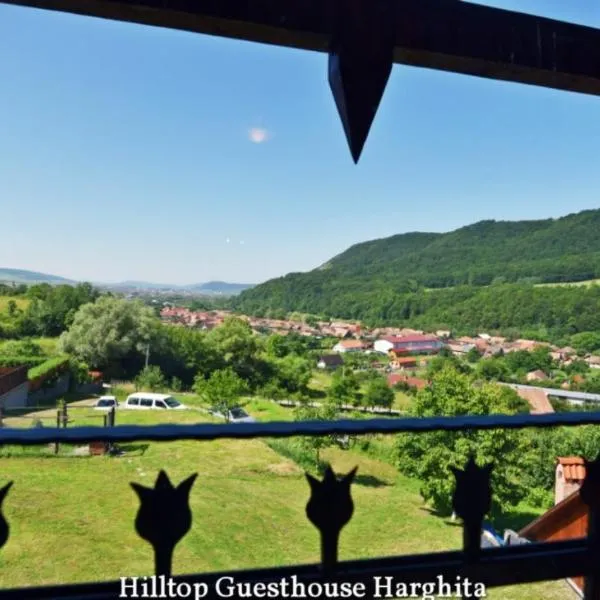 Hilltop Guesthouse，位于Brădeşti的酒店