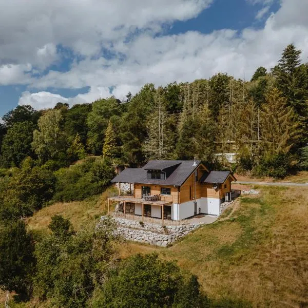 Edersee-Chalet，位于瓦尔德克的酒店