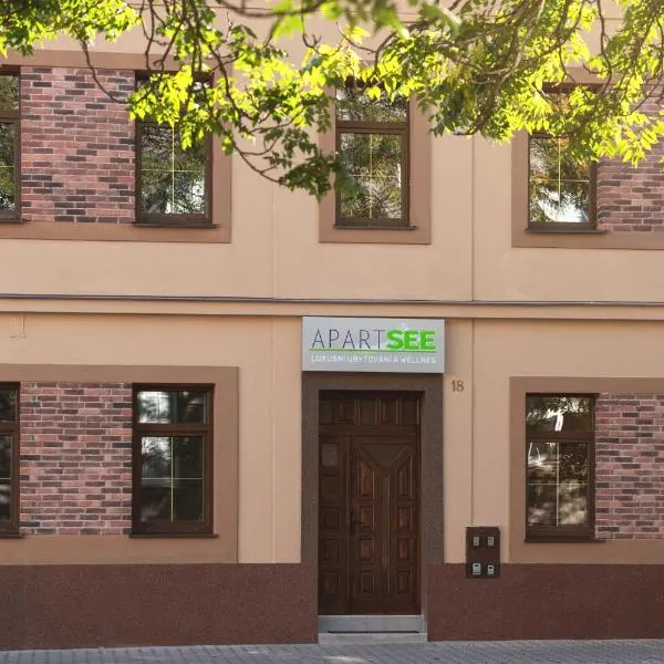 Apartsee Wellness Plzeň，位于比尔森的酒店