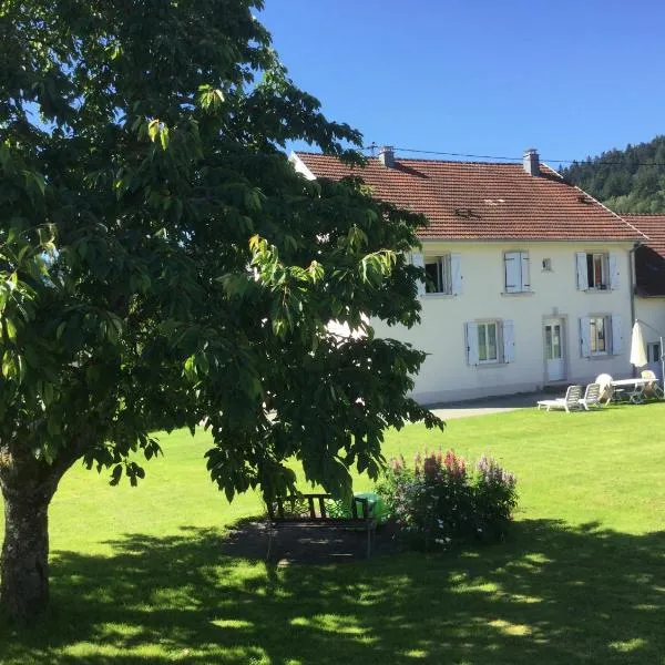 Gîte Léonline sur les hauteurs de Masevaux -au pied des Vosges，位于Bretten的酒店