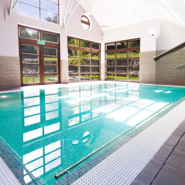 Boutique Hotel Sudetia - Medical & SPA，位于希维拉杜夫-兹德鲁伊的酒店