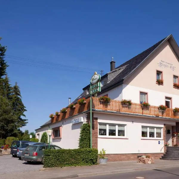 Hotel-Restaurant Birgeler Hof，位于Schüller的酒店