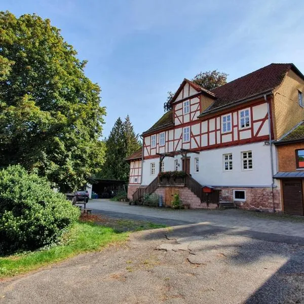 Ferienwohnung auf idyllischen Gestüt auf historischen Gutshof in Hessen，位于Niederaula的酒店