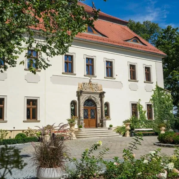 Pałac Mojęcice，位于Ścinawa的酒店