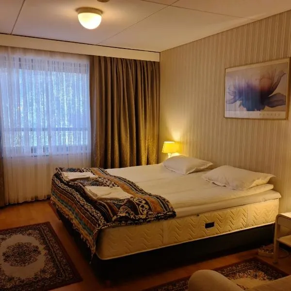 Hotelli Sandels，位于Pelonniemi的酒店