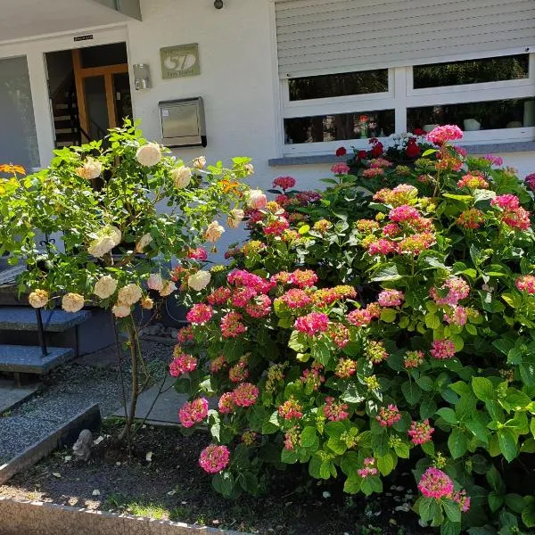 Gästehaus Eissler，位于Helmsheim的酒店