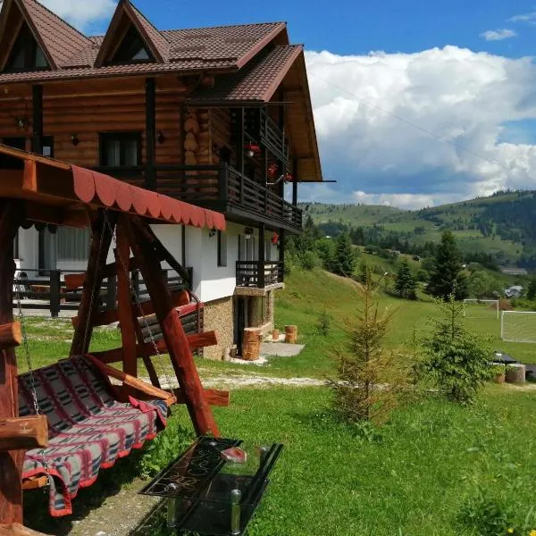 Pensiunea Waldhaus - Vatra Dornei，位于Podu Coşnii的酒店