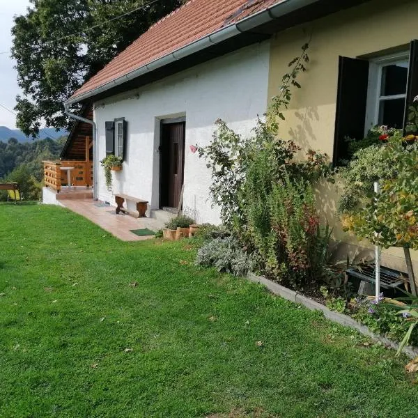 Rural house above the forest，位于Kolarovec的酒店