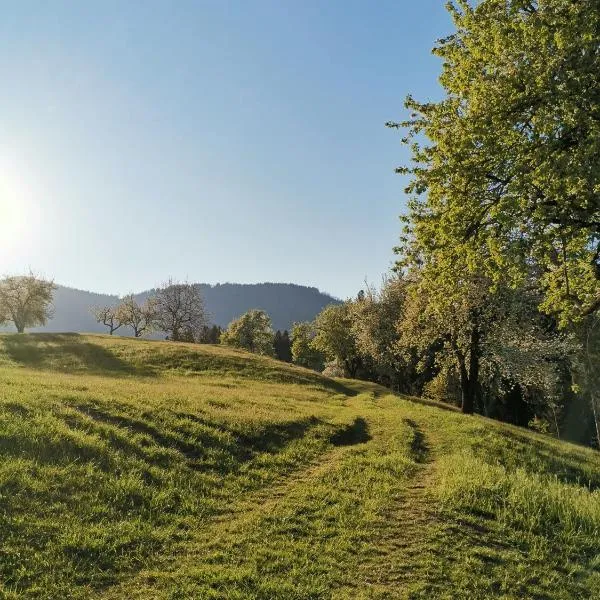Apartma Lesjak - pobeg v naravo，位于莫济列的酒店