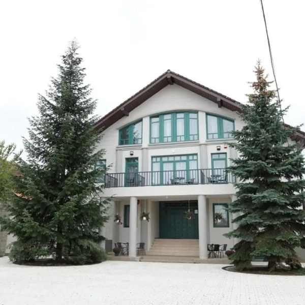 Pensiunea Green Villa，位于Caşolţ的酒店