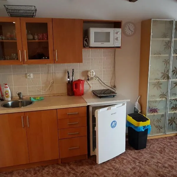 Apartment Příbram，位于罗斯米塔尔帕德特雷姆西內姆的酒店