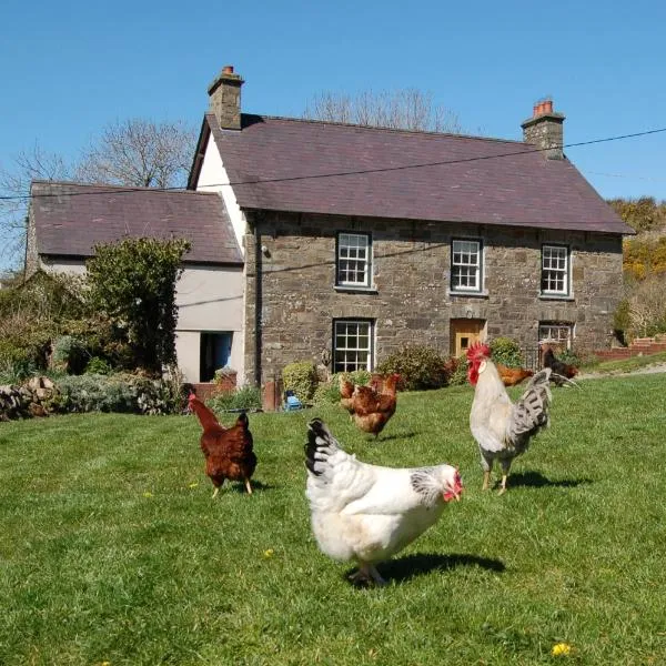 Nantgwynfaen Organic Farm Wales，位于Cwm-coy的酒店