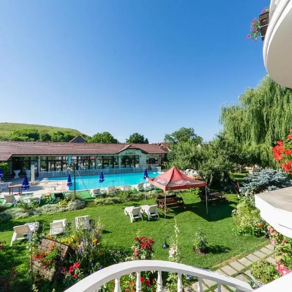 Hotel Bielmann，位于Sînpetru的酒店