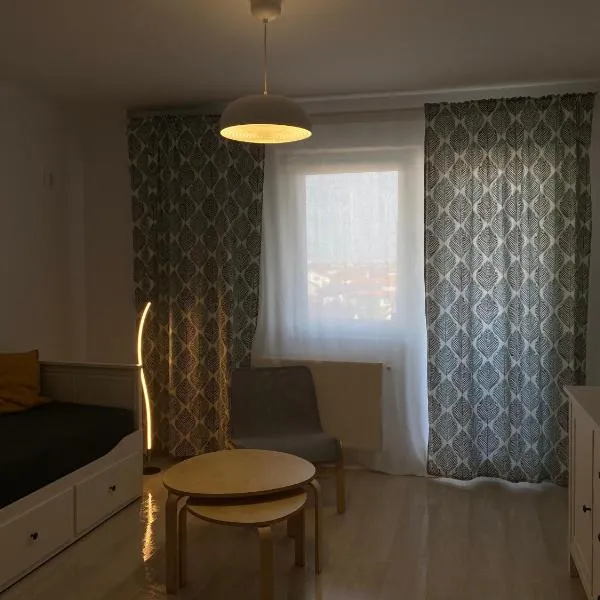 Deluxe Single Room Apartament，位于Bragadiru的酒店