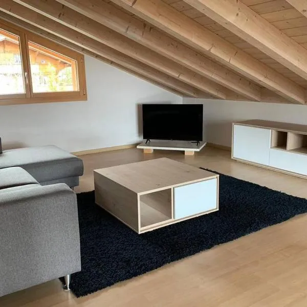 Région de GSTAAD, charmant chalet duplex de 80m2，位于茨韦西门的酒店