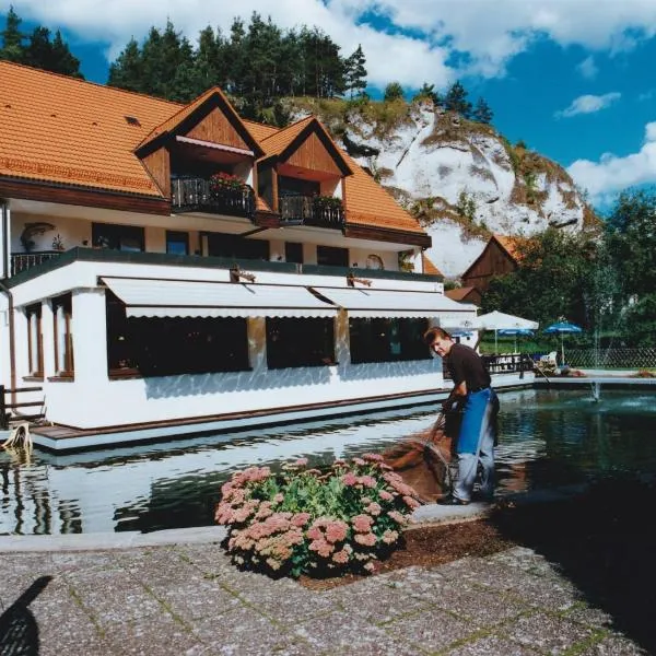Hotel Forellenhof，位于Ahorntal的酒店