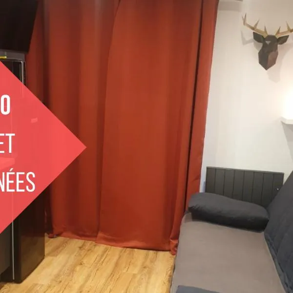 Le 211,ski et randonnée, WIFI, lave linge , ascenceur,parking gratuit，位于贝尔内的酒店